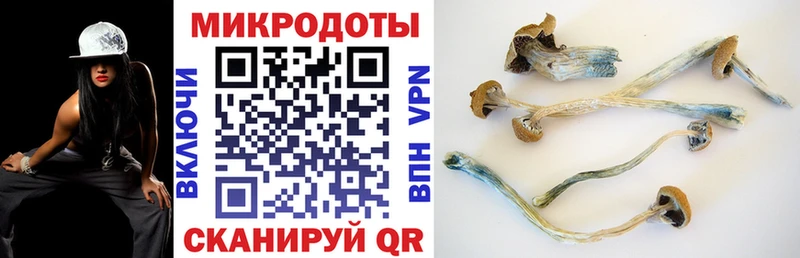 Галлюциногенные грибы Psilocybine cubensis  Купить где  Уржум 